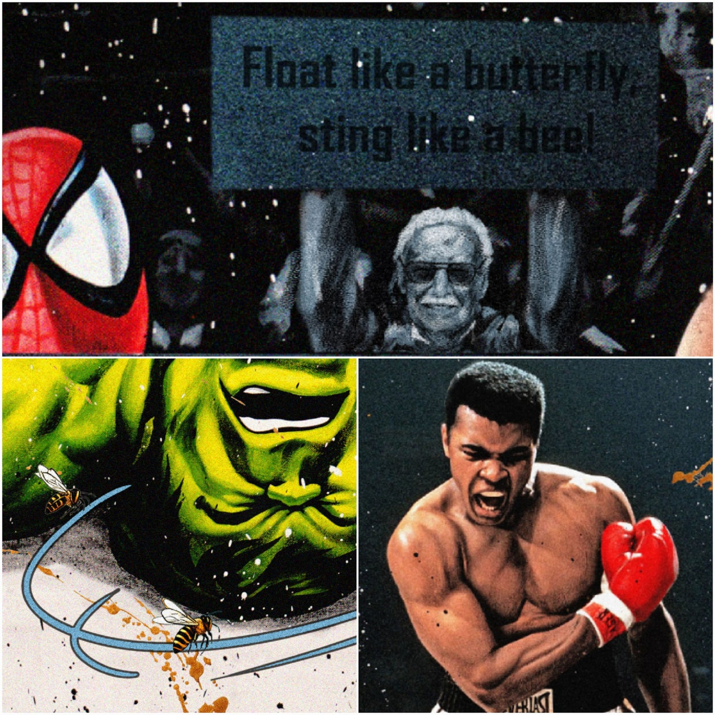 Fight of the century